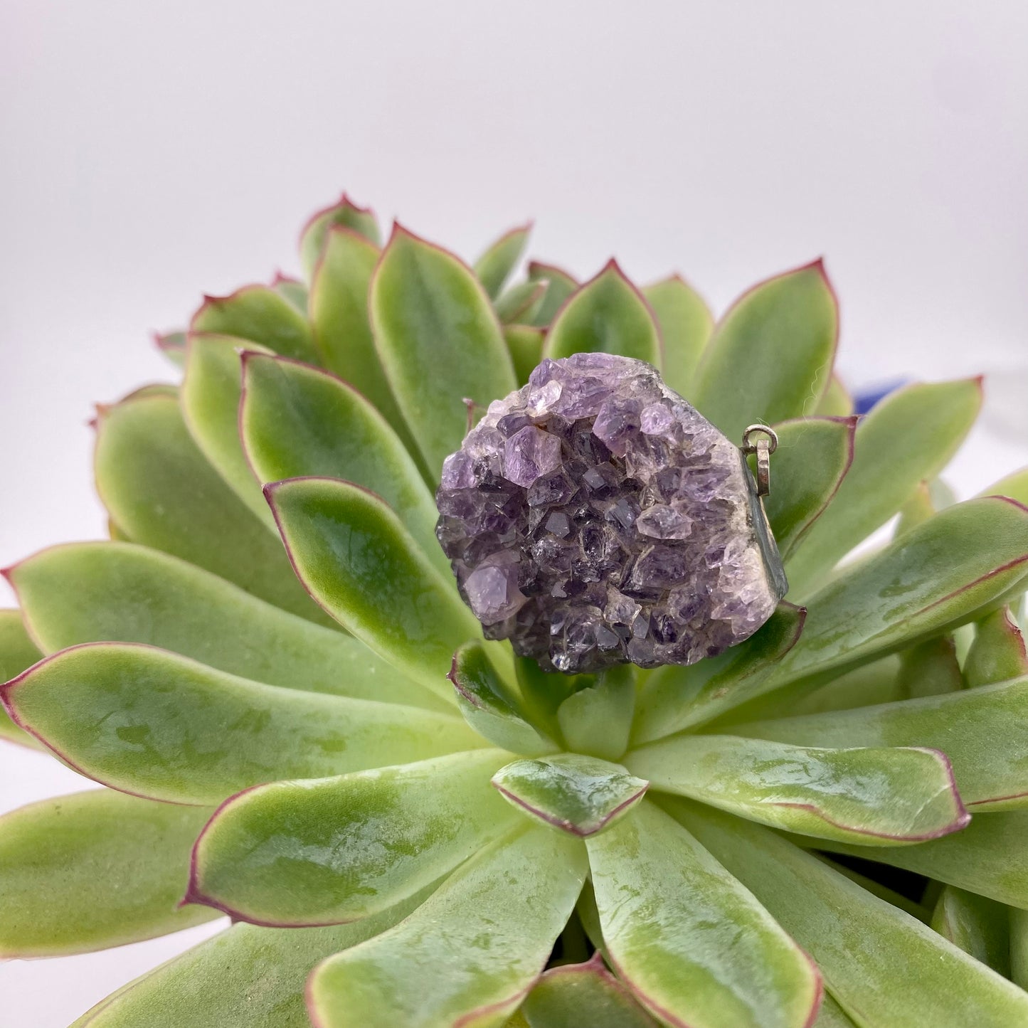 Amethyst Druse Necklace