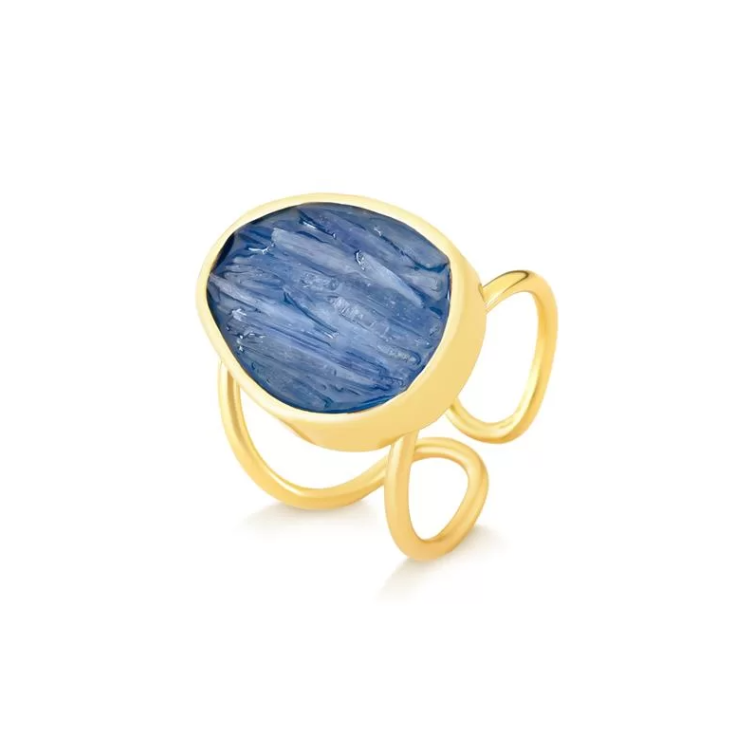 Circle of Fragments Ring