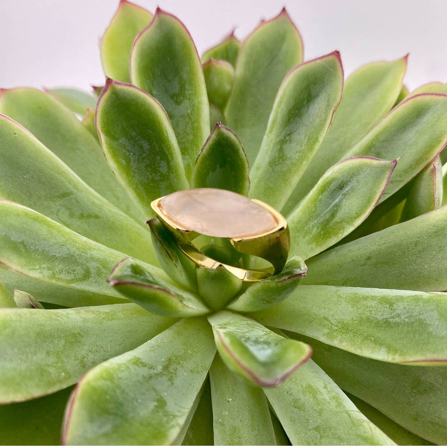 Rose Quartz Ring